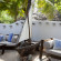 Asilia Lodges Matemwe 