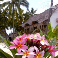 Casa Beach Hotel