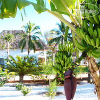 Uroa Bay Beach Resort