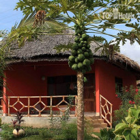 Spice Island Hotel & Resort 