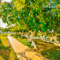 Novostar Budget Pyramides Club & Spa