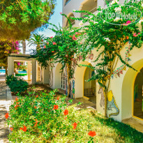 Club Novostar Sol Azur Beach Congress