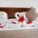 The Orangers Beach Resort & Bungalows 