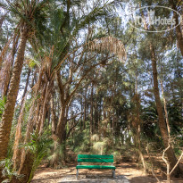 Marhaba Salem Garden  - Marhaba Salem Resort