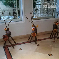 Royal Thalassa Monastir