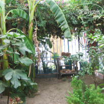 Dar El Yasmine Сад