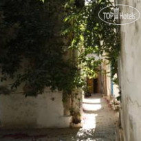 Dar Traki Территория отеля