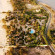 Mermoz  Hotel 