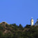 Jelak 