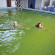 Junakovic Spa 