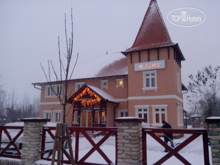 Hotel photo Villa Larus 3*