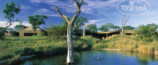 Sabi Sabi Earth Lodge