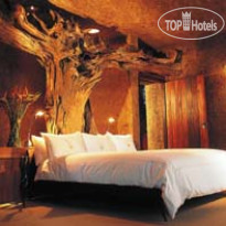 Sabi Sabi Earth Lodge 