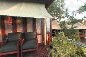 Hotel photo Ngala Tented Safari Camp 4*