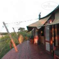 Ngala Tented Safari Camp 