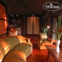 Ngala Tented Safari Camp 