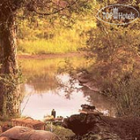 Ngala Tented Safari Camp 