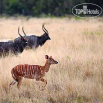 Bushlands Game Lodge