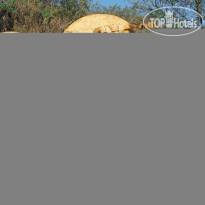 DumaZulu Lodge & Traditional Village Культурное шоу