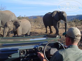 New photos from tourists Ravineside Lodge 4*