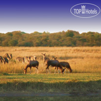 Ditholo Game Lodge