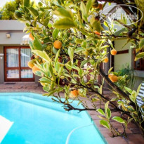 Silver Palms Guest House