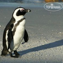 Smart Stay Luxury Self-catering Apartments Пингвин