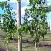 Smart Stay Luxury Self-catering Apartments Виноградник