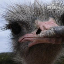 Smart Stay Luxury Self-catering Apartments Страус