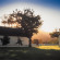 Steenberg Hotel & Spa 