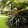 10 2nd Avenue Houghton Estate 
