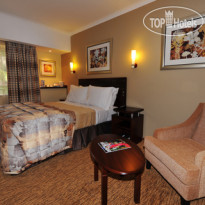 City Lodge Sandton Katherine Standard Double Room