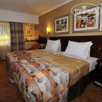 City Lodge Sandton Katherine Standard Twin Room