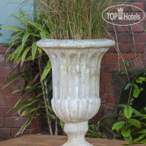  Sparkling Star Bed and Breakfast 