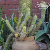  Sparkling Star Bed and Breakfast 