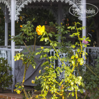  Sparkling Star Bed and Breakfast 