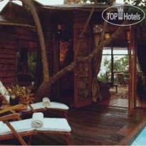 Tsala Treetop Lodge 