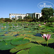 Plettenberg Park
