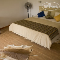 Oyster Bay Lodge Comfortable Guestroom