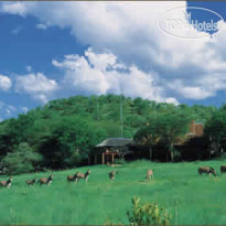 Kwa Maritane Bush Lodge
