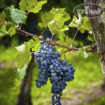 Franschhoek Country House & Villas