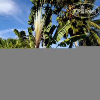 Pacific Islands Club