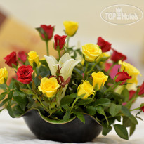 Tu Linh Palace Hotel 2 