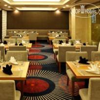 The Ann Hanoi