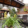 Garden Queen Hotel  