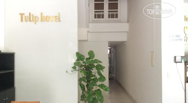 Hotel photo Tulip Hotel 
