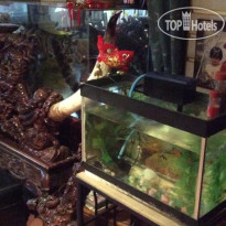 Phuong Hong Hotel