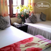 Thy Thu Hotel