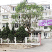 Dandelion Hotel 