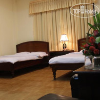 Dandelion Hotel 